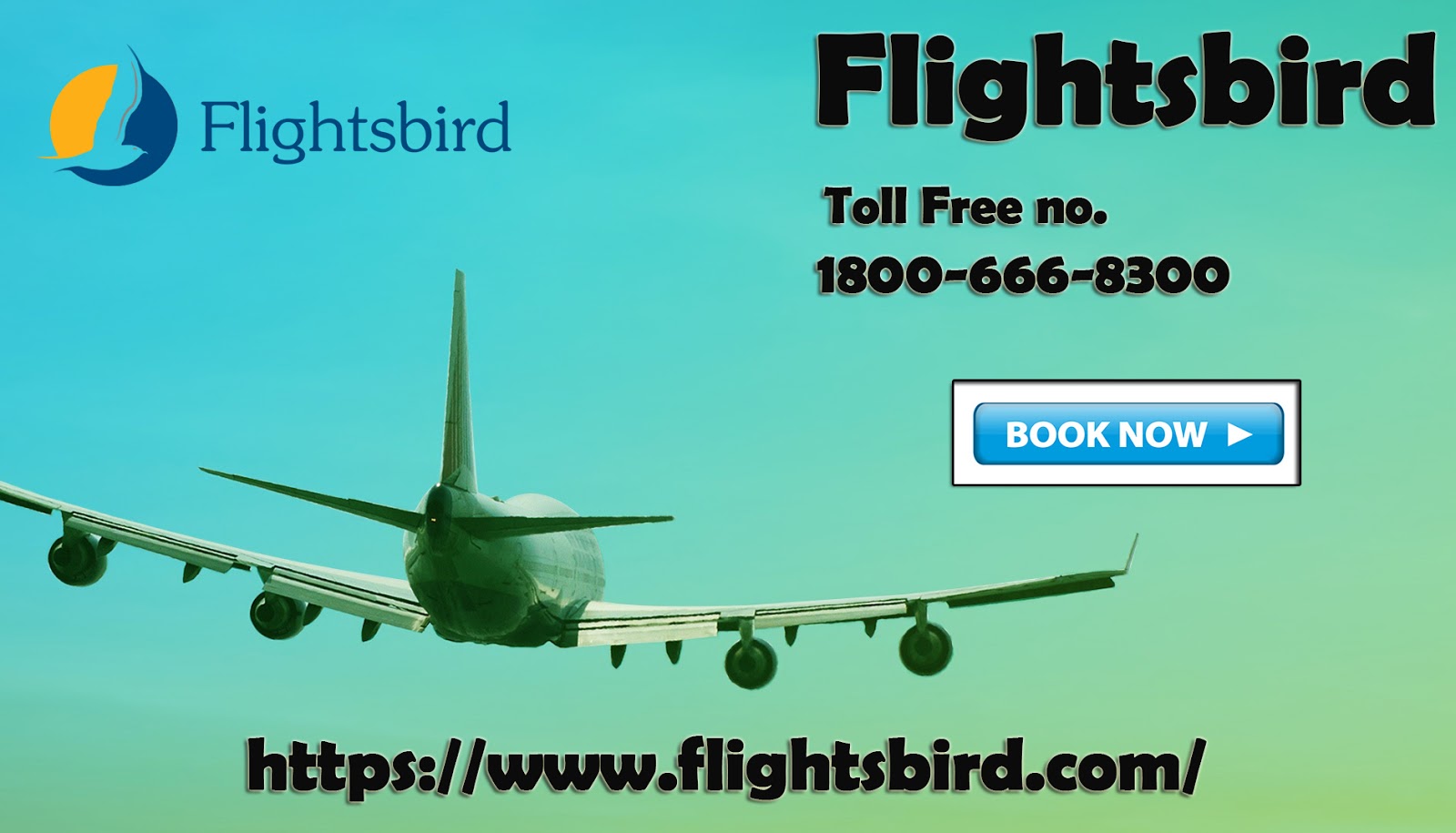 Contact us for cheap flights from Chicago (ORD) at flightsbird