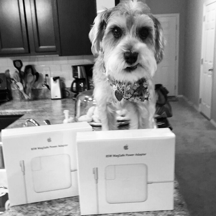 What To Do When Your Dog Eats Your Charger + a Giveaway www