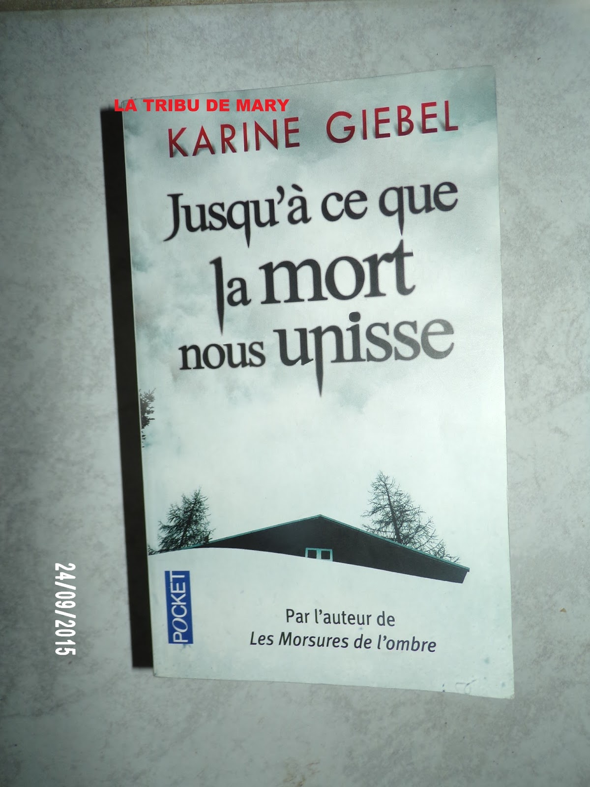 Jusqu à Ce Que La Mort Nous Unisse Livre la tribu de mary: jusqu'à ce que la mort nous unisse - genre policier