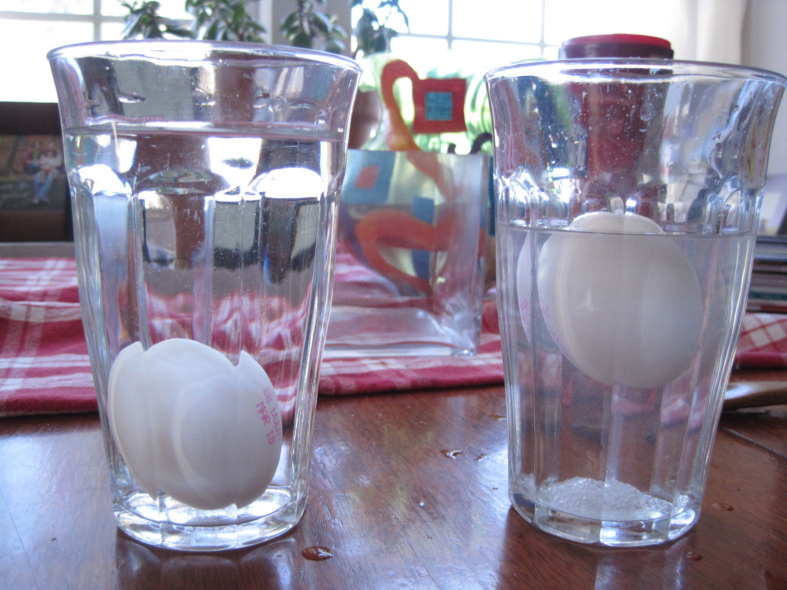 cikgu lim love science: Fun experiments (1) Floating Egg!