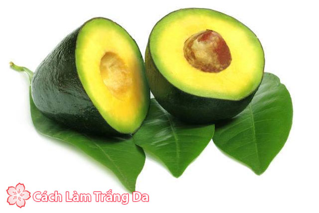 Làm đẹp từ trái bơ cho mọi lứa tuổi Làm đẹp từ trái bơ cho mọi lứa tuổi