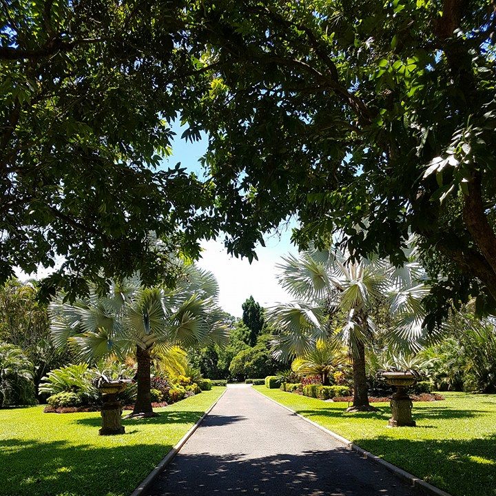 Ocean Crave Tropical Oasis Queens Gardens Townsville