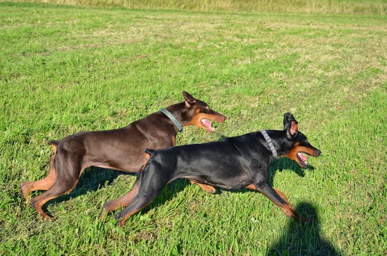 Mom & Daughter run together Photo by Trisha Field