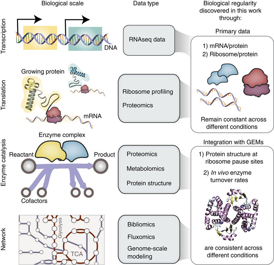 Proteomics related people picture
