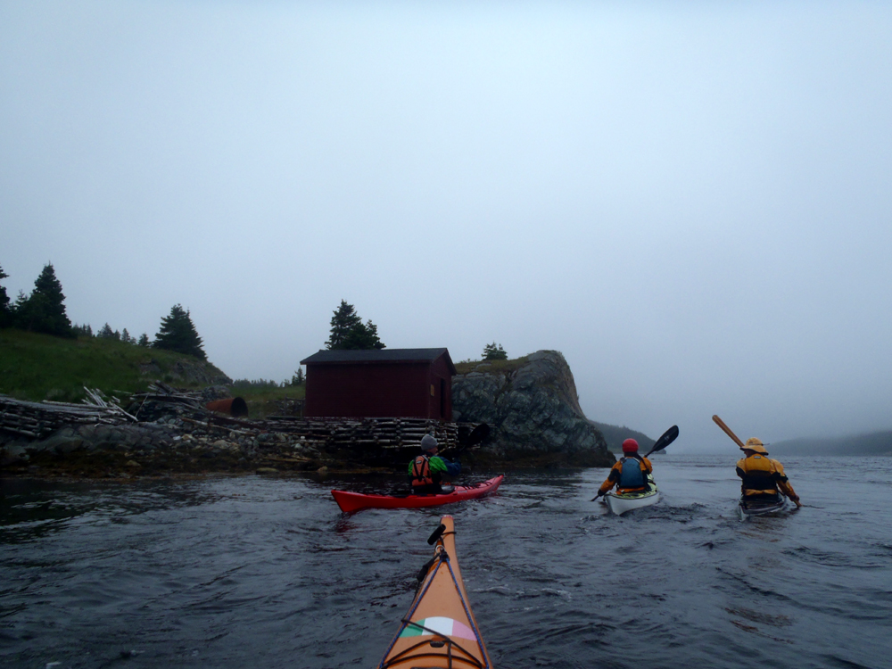 My Newfoundland Kayak Experience A fine day in Cape Broyle, if it was January