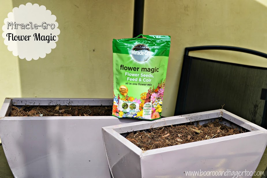 Transforming Flower Pots with Miracle-Gro Flower Magic Transforming Flower Pots with Miracle-Gro Flower Magic