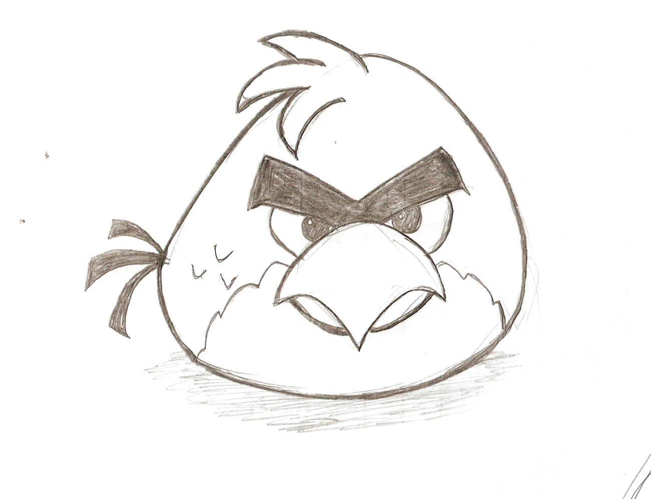 angry bird sketch