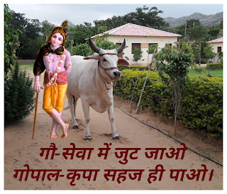 गौ माता स्लोगन - गौ माता स्टेटस - हिंदी में पढ़ें - gau mata status in hindi गौ माता स्लोगन - गौ माता स्टेटस - हिंदी में पढ़ें - gau mata status in hindi