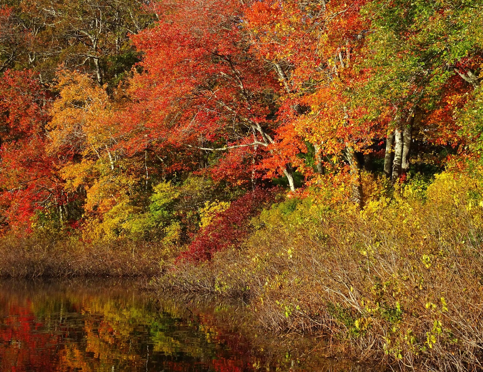 Joe's Retirement Blog Rabbit Pond, Manomet, Plymouth, Massachusetts, USA