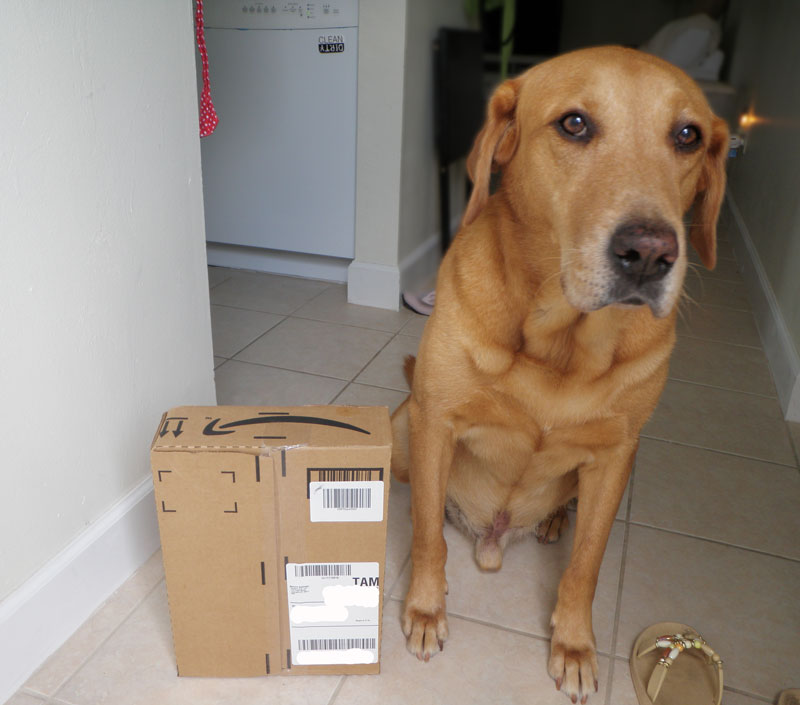 The Healing Kitchen: Look what just arrived!