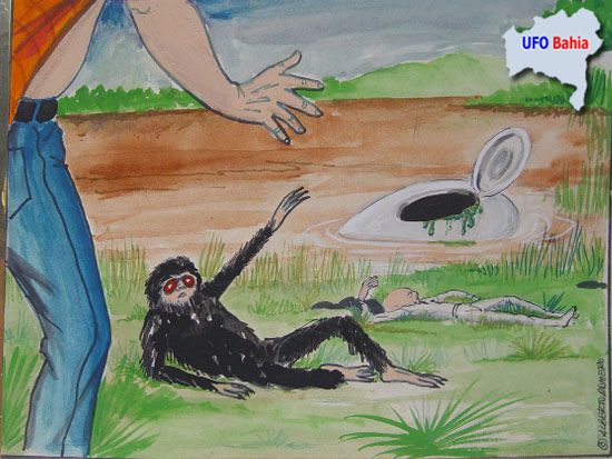 Resultado de imagem para Roswell nordestino: Queda de UFO na Bahia, em Janeiro de 1995