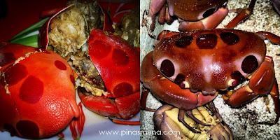 Onse Onse Crab a specialty of Magalawa Island in Palauig Zambales