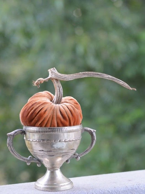 Elegant velvet pumpkin in silver urn - fall inspiration