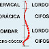 As Curvaturas Normais da Coluna Vertebral