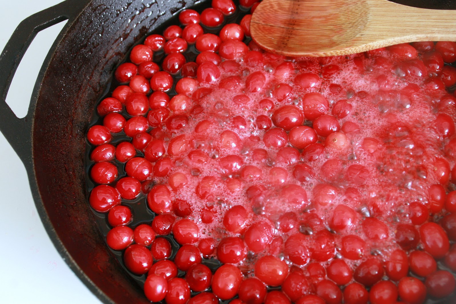 Cooking with Chopin, Living with Elmo Homemade Oven Dried Cranberries
