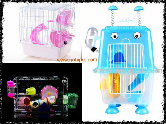 Cách chọn chuồng nuôi chuột hamster như ý? cach-chon-chuong-nuoi-chuot-hamster-nhu-y