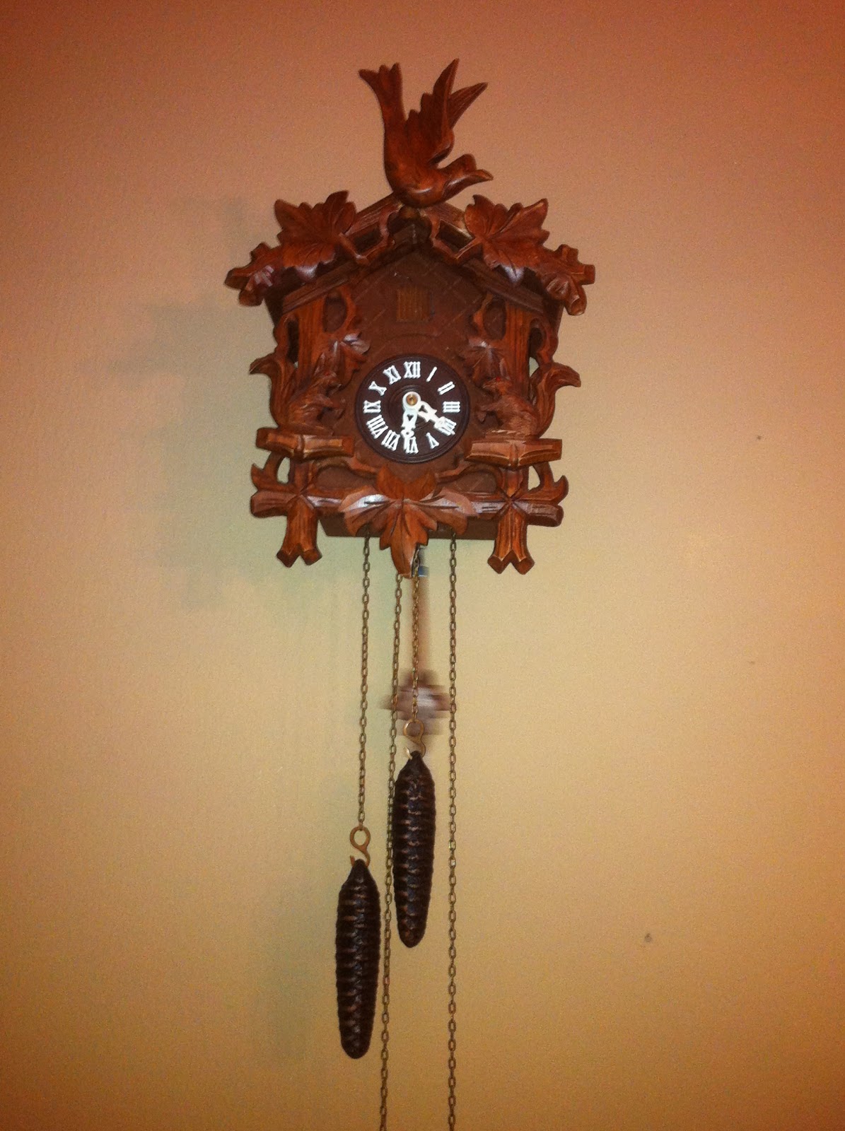 And So it Goes in Shreveport Dog Goes Cuckoo Over Cuckoo Clock