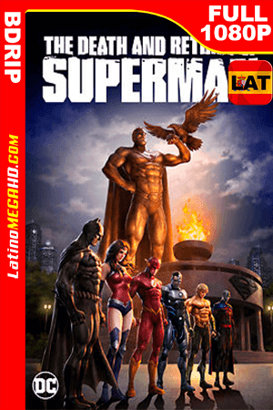 The Death and Return of Superman (2019) Latino FULL HD BDIRP 1080P ()