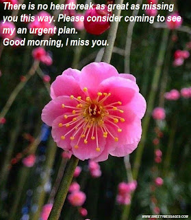 There is no heartbreak as great as missing you this way. Please consider coming to see my an urgent plan. Good morning, I miss you.