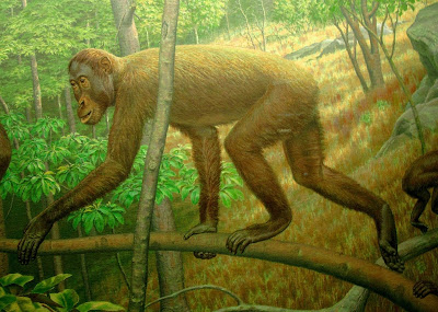 hominidae extintos Khoratpithecus