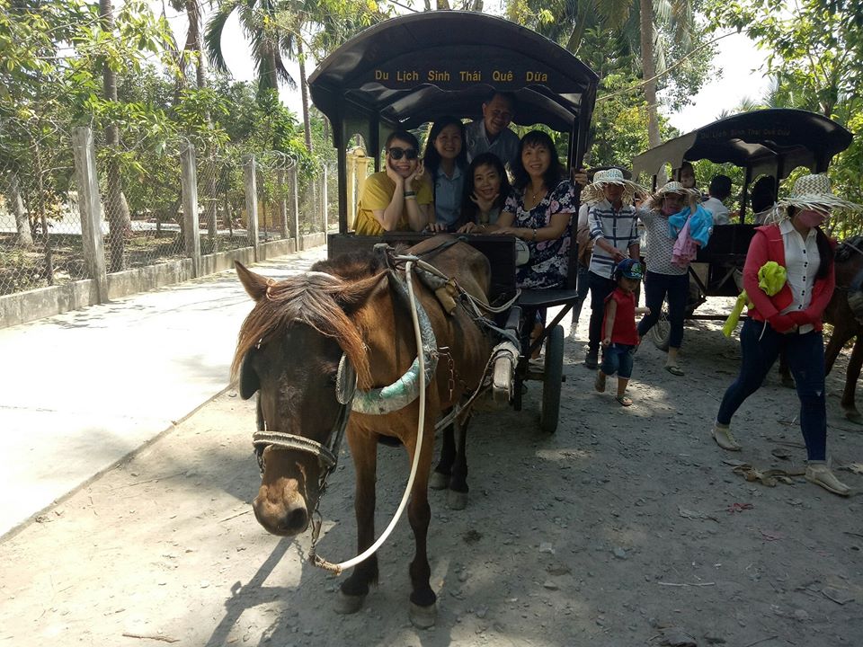 Về cù lao Thới Sơn lắc lư trên xe ngựa, thong dong ngắm miệt vườn -3 Về cù lao Thới Sơn lắc lư trên xe ngựa, thong dong ngắm miệt vườn -3
