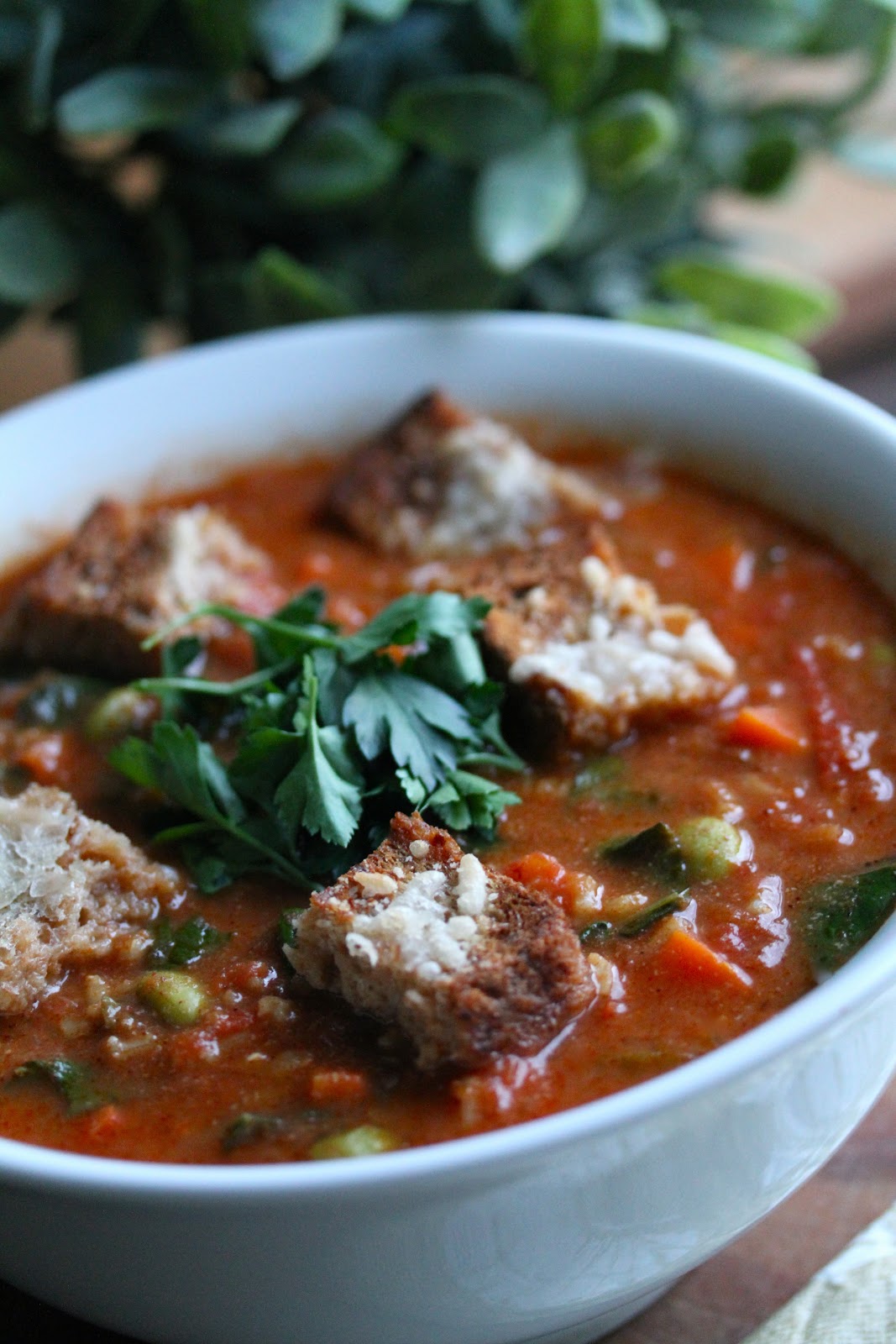 Smith's Vegan Kitchen Tomato Rice Stew