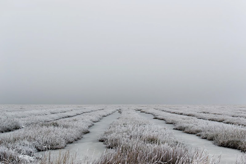 Henrik Hansen a Photographer from Ribe, Denmark.