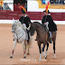 Os cartéis da Feira Taurina de Olivença 2019