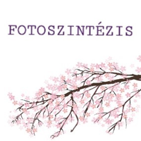Fotoszintézis