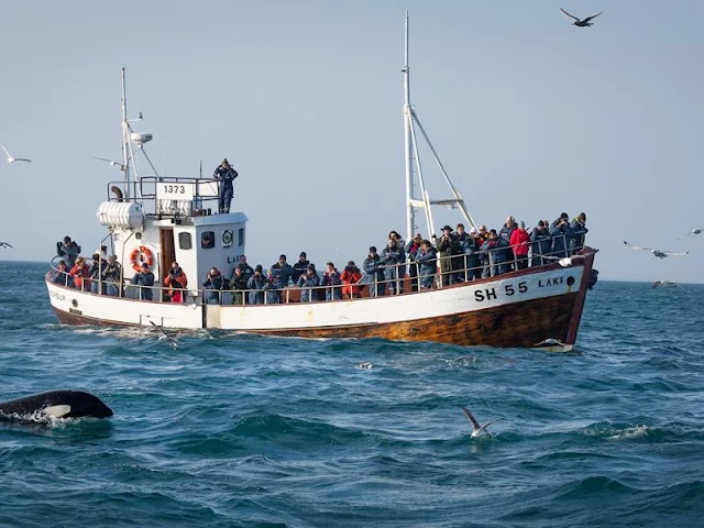 old fishing boat with people on looking for whales