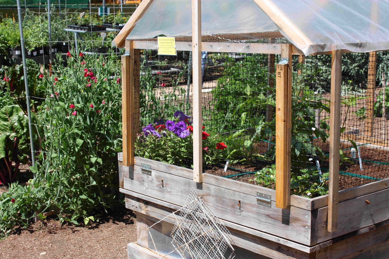 Musings From The Texas Hill Country Square Foot Gardening Designs 