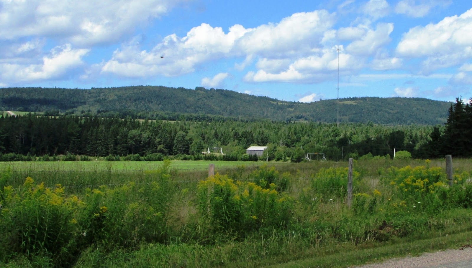 New Brunswick's Covered Bridges Millstream No.5 (Centreville)