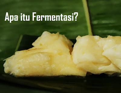 Gambar Pengertian Fermentasi, Tujuan fermentasi, ciri-ciri fermentasi, Jenis-jenis fermentasi, Contoh fermentasi, & Manfaat fermenetasi Tahapan Prosesnyafermentasi Pengertian Fermentasi - Secara etimologi, pengertian fermentasi berasal bahasa latin yakni dari kata "fervere" yang berarti "mendidih. Sedangkan pengertian fermentasi secara terminologi bahwa fermentasi adalah menggambarkan aksi ragi pada ekstrak buah selama pembuatan minuman beralkohol. Hal itu didasarkan pada tahapan proses fermentasi yang sebelumnya. Selain itu, pengertian Fermentasi adalah suatu cara untuk mengubah substrat menjadi produk tertentu yahg dikehendaki dengan adanya bantuan dari Mikroba. Diketahui bahwa pengertian fermentasi memiliki perbedaan dengan para ahli mikrobiologi dengan ahli biokimia. Untuk pengertian fermentasi oleh ahli kimia adalah proses yang menghasilkan energi dengan perombakan senyawa organik. Tidak hanya itu, ahli mikrobiologi industri memperluas pengertian fermentasi menjadi segala proses untuk menghasilkan suatu produk dari kultur mikroorganisme. Selain itu, fermentasi juga dapat diartikan bahwa fermentasi adalah sebagai suatu disimilasi senyawa-senyawa organik yang disebabkan adanya aktivitas mikroorganisme. Macam-macam produk demikian, umumnya memiliki manfaat atau keuntungan yang dijadikan sebagai minuman atau makanan. Fermentasi adalah terdapat tahapan proses yang telah dikenal sejak jaman kuno. Sehingga agar tujuan dan fungsi Fermentasi dapat dimanfaatkan masyarakat, maka diperlukan tahapan yang perlu disediakan diantaranya mikroba sebagai inokulum, tempat (wadah) untuk menjamin proses fermentasi berlangsung dengan optimal, substrak sebagai tempat tumbuh (medium) dan sumber nutrisi bagi mikroba. Selain itu, berdasarkan penjelasan dari Astawan (1997) bahwa Reaksi yang terjadi selama proses fermentasi tidak lain merupakan proses dari penguraian senyawa-senyawa dengan molekul yang lebih besar khususnya protein yang menjadi senyawa yang lebih sederhana, sehingga lebih dengan mudah dalam mencerna, diserap dan dimanfaatkan oleh tubuh manusia. Tidak hanya itu, Astawan juga mengatakan bahwa protein ikan yang akan terurai menjadi ke dalam bentuk peptida dan asam amino, dapat terurai lanjut menjadi suatu senyawa yang memiliki tujuan dan fungsi dalam pembentukan citra rasa khas setiap produk. Macam-macam contoh produk dari hasil fermentasi adalah terasi yang merupakan produk dari hasil perikanan yang terdiri atas tahapan proses dengan menggunakan bahan baku yang mengalami perlakuan fermentasi. Adapun bahan baku utama untuk membuat terasi udang yakni udang segar dan udang kering. Jenis bahan baku yang digunakan yakni udang rebon. Sehingga kandungan hasil olahan perikanan dalam hal ini terasi mengandung protein terasi udang sekitar 27-30%, air 57-70% dan garam 15-20%. Tidak hanya itu, menurut Rahayu (1992) fermentasi terbagi atas dua jenis yakni yang dikenal dengan "Fermentasi Spontan" dan "fermentasi tidak spontan". Hal yang dimaksud dengan fermentasi spontan adalah fermentasi yang biasa dilakukan dengan menggunakan media penyeleksi, contohnya garam, asam organik, asam mineral, nasi atau pati. Tidak hanya itu, media penyeleksi tersebut akan menyeleksi bakteri patogan dan menjadi media yang bermanfaat bagi tumbuh kembang bakteri selektif yang membantu jalannya fermentasi. Selain itu, fermentasi tidak spontan adalah fermentasi yang dilakukan dengan penambahan kultur organisme bersama dengan media penyeleksi sehingga tahapan proses fermentasi dapat berlangsung lebih cepat. Pengertian Fermentasi Menurut Para Ahli 1. Pengertian Fermentasi Menurut Darwis dan Sukara Pengertian Fermentasi menurut Darwis dan Sukara mengatakan bahwa yang dimaksud fermentasi adalah proses secara aerob maupun anaerob yang menghasilkan jenis-jenis produk dengan melibatkan adanya aktivitas mikroba terkontrol. 2. Pengertian Fermentasi Menurut Muchtadi dan Ayustaningworno Pengertian Fermentasi menurut Muchtadi dan Ayustaningworno (2010) mengatakan bahwa defini fermentasi secara teknik memiliki arti bahwa fermentasi adalah sebagai suatu proses oksidasi anaerobik atau partial anaerobik karbohidrat yang menghasilkan alkohol serta beberapa asam, akan tetapi banyak proses fermentasi menggunakan subtrak protein dan lemak. 3. Pengertian Fermentasi Menurut Suprihatin Pengertian Fermentasi menurut Suprihatin (2010) bahwa yang dimaksud dengan Fermentasi adalah suatu proses perubahan kimia pada suatu substrat organik melalui aktivitas enzim yang dihasilkan oleh mikroorganisme. 4. Pengertian Fermentasi Menurut Jay Pengertian fermentasi menurut Jay dkk. (2005), bahwa arti fermentasi adalah proses perubahan kimiawi, dari senyawa kompleks menjadi lebih sederhana dengan bantuan enzim yang dihasilkan oleh mikrobia. Sejarah Fermentasi: Asal Mula Fermentasi Fermentasi mengalami perjalanan yang panjang dalam menghasilkan suatu manfaat yang besar dalam kehidupan manusia. Macam-macam contoh hasil olahan fermentasi dengan fungsi dan tujuan tersendiri untuk kehidupan manusia dimana fermentasi diawali dari Ahli kimia Perancis bernama Louis Pasteur. Louis Pasteur juga merupakan seorang zymologist yang pertama. Sejarah penemuannya Louis diawali pada tahun 1857. Pada tahun tersebut, Louis mengaitkan ragi dengan fermentasi. Menurut Louis Pasteur sebagai pertama kali dalam menemukan Fermentasi mengeluarkan pendapatnya berupa definisi fermentasi bahwa fermentasi adalah respirasi (pernapasan) tanpa udara. Ia mengatakan bahwa "Saya berpendapat bahwa fermentasi alkohol tidak terjadi tanpa adanya organisasi, pertumbuhan, dan multiplikasi sel-sel secara simultan...... Jika ditanya, bagaimana proses kimia hingga mengakibatkan dekomposisi dari gula tersebut. Saya benar-benar tidak tahu." Akan tetapi, setelah munculnya ahli kimia Jerman bernama Eduard Buchner yang merupakan pemenang Novel Kimia tahun 1907 berhasil menjelaskan bahwa fermentasi sebenarnya diakibatkan oleh sekeresi dari rai yang ia sebut dengan Zymase. Penelitian yang dilakukan ilmuan Carlsberg (sebuah perusahaan bir) di Denmark semakin meningkatkan pengetahuan tentang ragi dan brewing (cara pembuatan bir). Ilmuan Carlsberg tersebut dianggap sebagai pendorong dari berkembangnya biologi molekular. Sejarah fermentasi terus berkembang hingga menghasilkan keuntungan yang bermanfaat bagi kehidupan manusia. Ciri-Ciri Fermentasi Berdasarkan penjelasan fermentasi diatas, maka dapat disimpulkan bahwa karakteristik ciri fermentasi adalah: Fermentasi terjadi ke dalam proses glikolisis Energi (ATP) yang terbentuk lebih sedikit jika dibandingkan dengan Respirasi Aerob. Terjadi pada organisme yang tidak membutuhkan oksigen bebas, ex: bakteri dan protista yang hidup di rawa, lumpur atau tempat-tempat lain yang tidak mengandung oksigen. Tidak terjadi penyaluran elektron ke siklus krebs dan transpor electron. Tujuan Fermentasi Tujuan fermentasi secara khusus adalah: Mengendalikan pertumbuhan mikroba; Mempertahankan gizi yang dikehendaki; Menciptakan kondisi kurang memadai untuk mikrobia kontaminan. Fungsi Fermentasi Berdasarkan dari hasil penjelasan akan tujuan fermentasi diatas, maka diketahui bahwa fermentasi memiliki fungsi yang bermanfaat bagi makanan dan minum yang pada umumnya bagi kehidupan manusia. Adapun fungsi fermentasi tersebut adalah: Dapat menyelamatkan makanan dari sejumlah masalah makanan salah satu masalah roti tidak mengembang. Akan tetapi dengan adanya ragi sehingga manfaat yang dihasilkan dimana roti dapat mengemang Penganekaragaman pangan yang dengan adanya fungsi tersebut maka kebutuhan akan pangan menjadi lebih tercukupi. Dapat memperpanjang masa pemyimpanan contohnya dengan adanya bakteri Rhizopus oligoporus pada bahan makanan kacang kedelai maka akan menghasilkan tempe yang tahan busuk lebih lama daripada yang tidak diberi bakteri tersebut. Meminimalkan kerugian; dengan masa penyimpanan yang bertambah panjang dengan adanya teknik fermentasi, maka kerugian akan berkurang. Menambah gizi makanan yang apabila dimanfaatkan maka gizi bahan makanan akan terkendali atau bahkan menambah gizi makanan tersebut. Manfaat Fermentasi Berdasarkan dari penjabaran fermentasi pada tujuan dan fungsinya, maka dapat disimpulkan bahwa fermentasi memiliki manfaat yang diantararnya: Manfaat hasil fermentasi dapat menjadi jenis-jenis coontoh mempunyai kandungan zat gizi yang lebih tinggi, sehingga menguntungkan jika dikonsumsi. Selain itu, Produk hasil fermentasi juga memiliki kelebihan disebabkan mengandung zat prebiotik yang bermanfaat bagi kesehatan tubuh manusia. Proses fermentasi bermanfaat dalam menghilangkan atau mengurangi zat antinutrisi. Adanya proses fermentasi menjadikan suatu produk makanan atau minuman mempunyai nilai ekonomis yang terbilang tinggi sehingga dalam strategi pemasarannya, banyak dijumpai hasil olahan fermentasi dijual di mana-mana. Contoh-Contoh Hasil Fermentasi Terdapat beragam produk-produk hasil fermentasi dalam kehidupan manusia. Pada umumnya, produk hasil fermentasi mempunyai ciri dan bau yang khusus yang membedakan makanan dan minum biasanya. Berikut ini adalah beberapa contoh produk hasil fermentasi yang banyak ditemui dikehidupan kita: 1. Roti Tahapan proses pembuatan roti, umumnya dilakukan dengan cara membuat fermentasi agar adonan tepung dapat mengembang. Fermentasi roti dilakukan dengan tahapan yang menambahkan ragi pada adonan tepung. Saat di dalam ragi, terdapat jamur Saccharomyces cerevisiae yang berfungsi dalam mengubah glukosa menjadi karbon dioksida. Karbon dioksida tersebut yang nantinya akan terperangkap dalam roti yang membuat roti terlihat dapat mengembang. 2. Tape Makanan yang biasa ditemukan ini, Tape adalah hasil proses fermentasi dengan sejumlah bahan yang dapat digunaka untuk membuat tape, contohnya singkong, ketan hitam, ketan putih dan lain sebagainya. 3. Keju Sama seperti yoghurt, keju merupakan hasil fermentasi dari produk susu. Akan tetapi, cara fermentasinya sedikit berbeda. Setelah diubah menjadi asam laktat, susu ditambahkan dengan suatu enzim renin agar menggumpal. Gumpalan susu ini nantinya diperas dan dipadatkan sehingga menghasilkan produk keju. 4. Oncom Selain tempe, Oncom juga adalah contoh adalah makanan hasil fermentasi dari ampas tahu dengan menggunakan jamur yang dikenal Neurospora Sitophila yang memproduksi enzim yang mengakibatkan oncom dapat lebih lunak dan empuk. 5. Yoghurt Minuman ini, Yoghurt merupakan salah contoh hasil fermentasi bakteri asam laktat yang miliki kandungan laktosa dalam susu yang diubah menjadi asam laktat. Kondisi ini akan membuat susu mengalami pendadihan. Saat itu, sehingga dikumpulkan dan dikemas dalam bentuk yoghurt. 6. Bir Minuman yang dapat memabukkan ini, juga merupakan hasil fermentasi dengan memanfaatkan jamur Saccharomyces cerevisiae. 7. Nata de coco Makanan yang biasa disajikan dalam minuman ini merupakan contoh dari produk hasil fermentasi air kelapa. Fermentasi ini yang biasanya dilakukan oleh Acetobacter xylinum, sehingga dapat mengubah glukosa menjadi polisakarida atau selulosa. 8. Tempe Makanan ini, Tempe juga merupakan hasil fermentasi dari kacang kedelai dengan menggunakan jamur-jamur dari genus Rhizoporus. Ilustrasi: Pengertian Fermentasi, Tujuan, Jenis, Contoh, & Manfaat Tahapan Prosesnya Demikianlah informasi mengenai Pengertian Fermentasi, Tujuan, Jenis, Contoh, & Manfaat Tahapan Prosesnya. Semoga informasi ini dapat bermanfaat bagi kita semua khususnya dalam kehidupan masyarakat. Sekian dan Terima kasih. Salam Berbagi Teman-Teman.