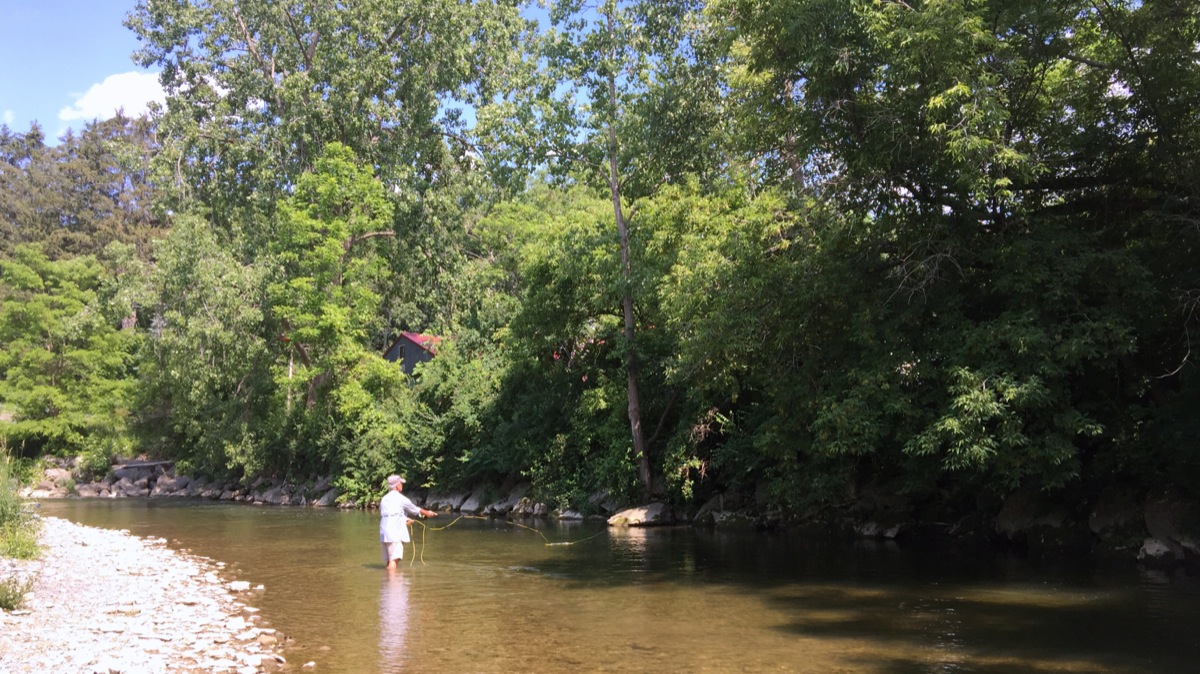 Life in the Slow Lane (The Pearl) June 28 Salmon Creek, Lansing, NY