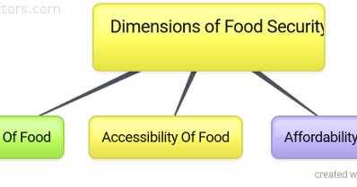 Essay on food security