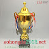 Cup Đồng Bóng Đá Đẹp Giá Rẻ - Mã BBT1323