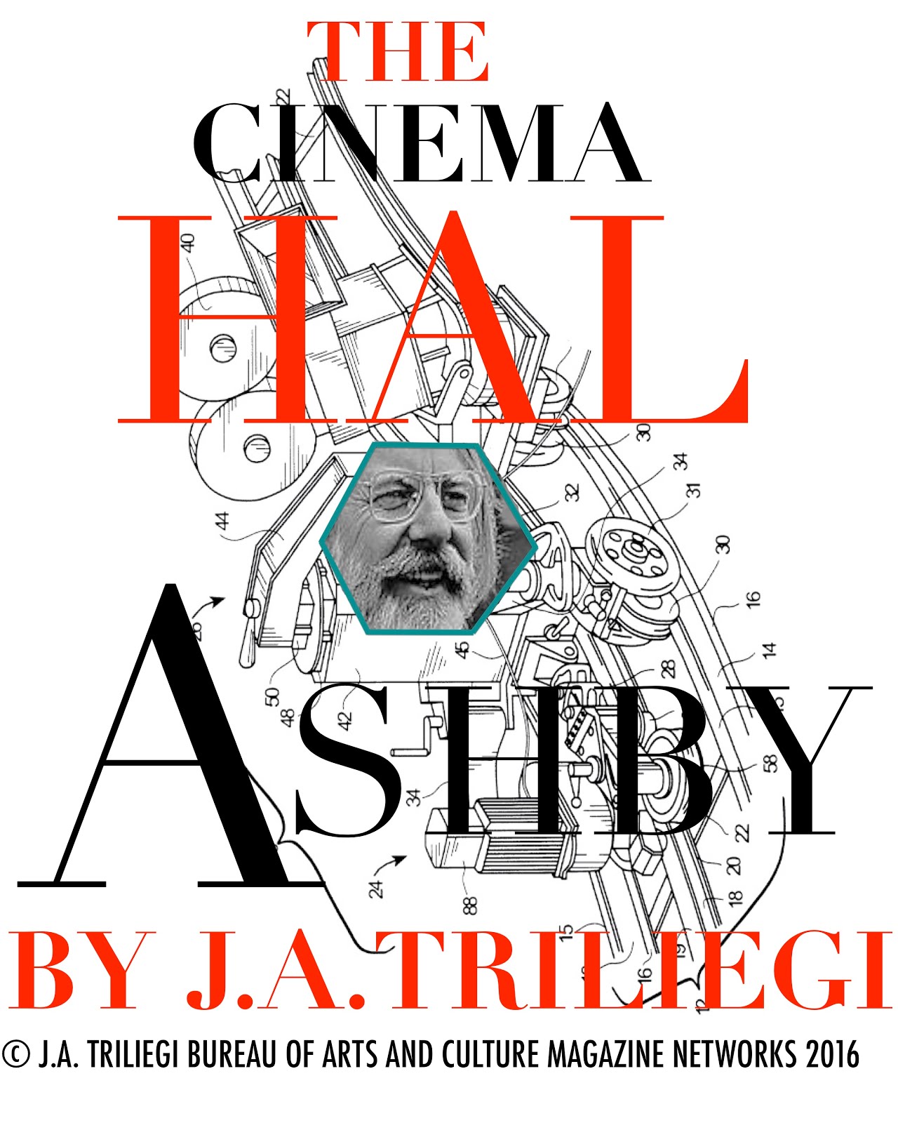 HAL ASHBY The FILM Director