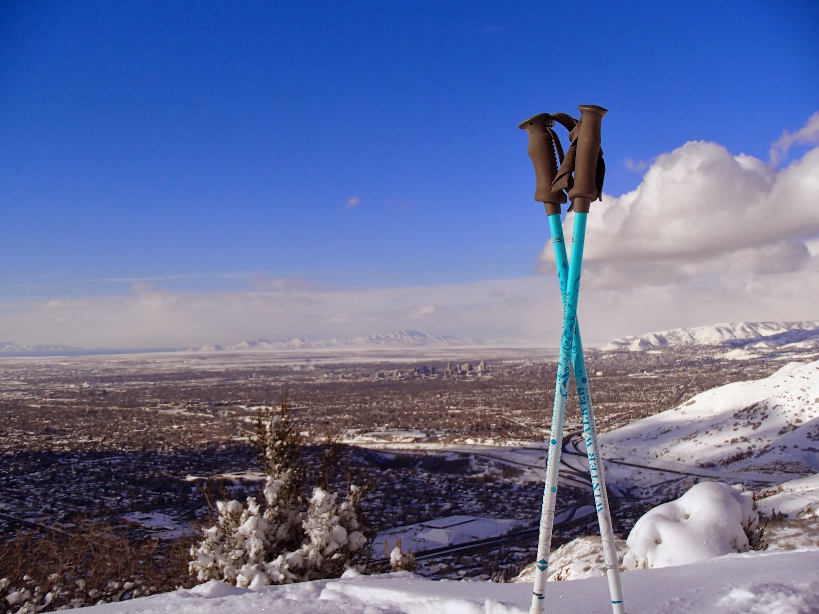 Crazy Hiker Chick: Rattlesnake Gulch Trail