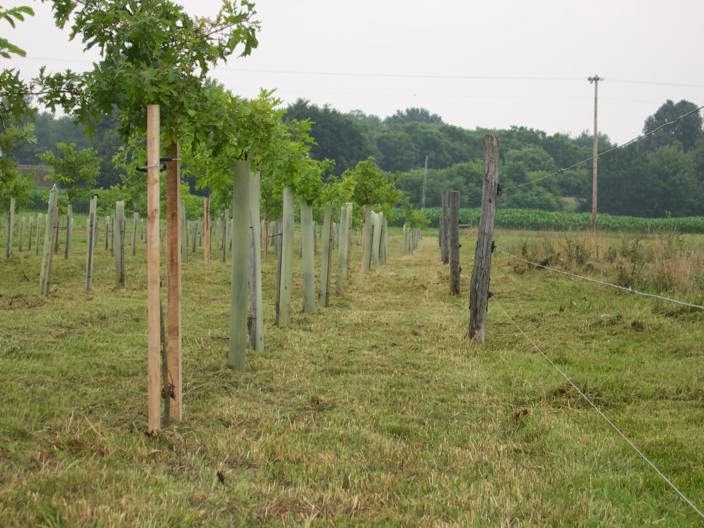 Do you need help with the Forest Retention Area in Hagerstown, MD or