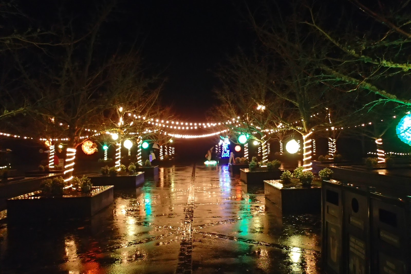 Casing Oregon Christmas in the Valley The Oregon Garden