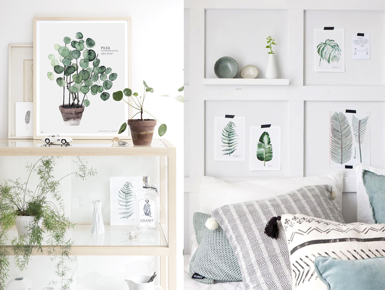 Botanical Prints Homes in Colour