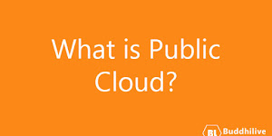 What is Public Cloud?