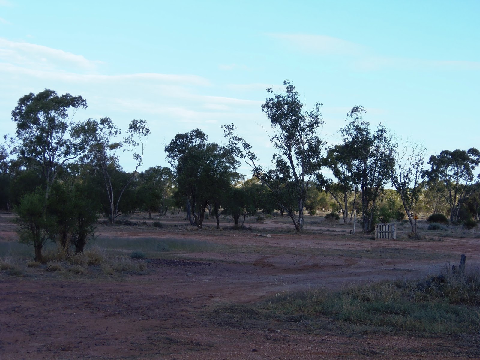 Solo Steve On The Road LIGHTNING RIDGE