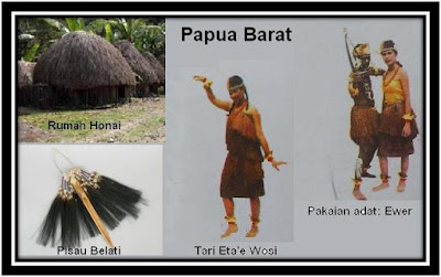 mengenal budaya papua indonesia