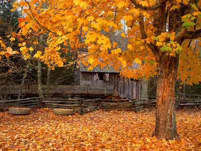 BEAUTIFUL AUTUMN HD WALLPAPERS ~ HD WALLPAPERS