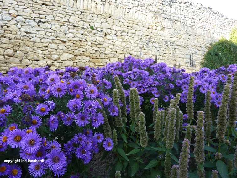 rheingrün Auf der Suche nach dem perfekten Blau rheingrün Auf der Suche nach dem perfekten Blau