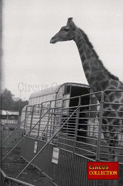 Circus Krone 1965  suite Photo Hubert Tièche    Collection Philippe Ros