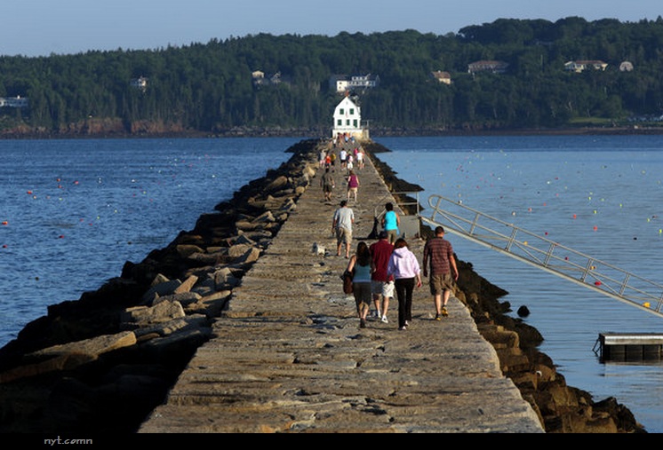 Renée Finberg ' TELLS ALL ' in her blog of her Adventures in Design