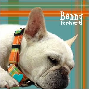 Sweet Benny