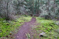 Pass Lake Loop Trail, Deception Pass State Park